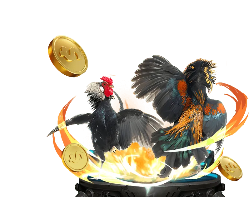 Nền tảng cá cược trực tuyến alo88